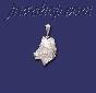 Sterling Silver DC Wolf Head Charm Pendant