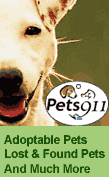 Pets 911 2