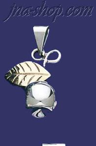 Sterling Silver Two-Tone Apple Charm Pendant