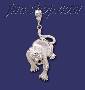 Sterling Silver DC Big Tiger Charm Pendant