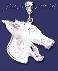 Sterling Silver DC Large Wolf Head Charm Pendant