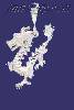 Sterling Silver DC Dragon Charm Pendant Sterling Silver DC Dragon Charm Pendant