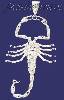 Sterling Silver DC Very Big Scorpion Charm Pendant Sterling Silver DC Very Big Scorpion Charm Pendant