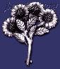 Sterling Silver Sunflowers Bouquet Brooch Pin