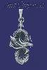 Sterling Silver Dragon Charm Pendant Sterling Silver Dragon Charm Pendant
