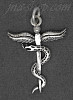 Sterling Silver Rod of Asclepius Caduceus Serpent Staff Medical Profession Charm