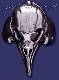 Sterling Silver Crow Skull Ring sz 10