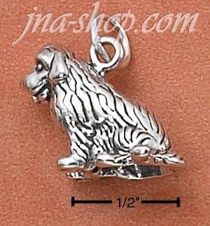 Sterling Silver 3-D NEWFOUNDLAND CHARM - Click Image to Close