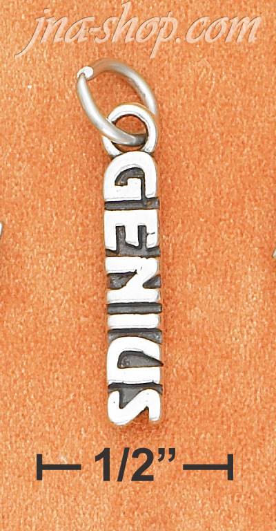 Sterling Silver ANTIQUED VERTICAL "GENIUS" CHARM - Click Image to Close
