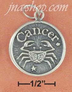 Sterling Silver ANTIQUED CANCER "IMAGINATIVE" DISC CHARM