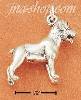 Sterling Silver 3D ROTTWEILER CHARM Sterling Silver 3D ROTTWEILER CHARM