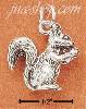 Sterling Silver SQUIRREL W/ NUT CHARM