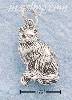Sterling Silver SMALL ANTIQUED LONG HAIRED CAT W/ CURLED TAIL CH